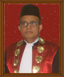 19mdamis